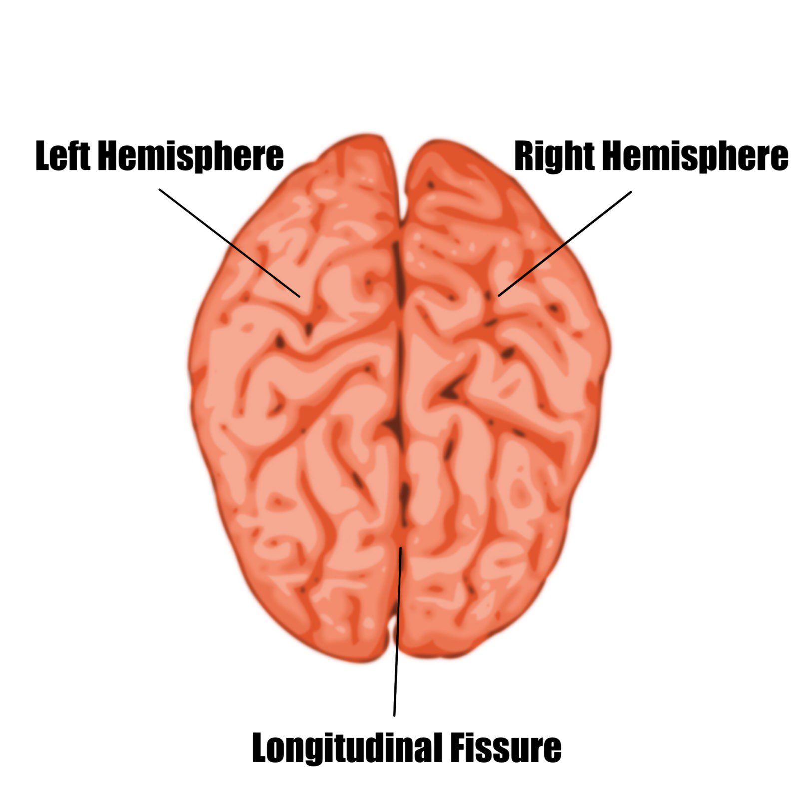 how to access more parts of your brain